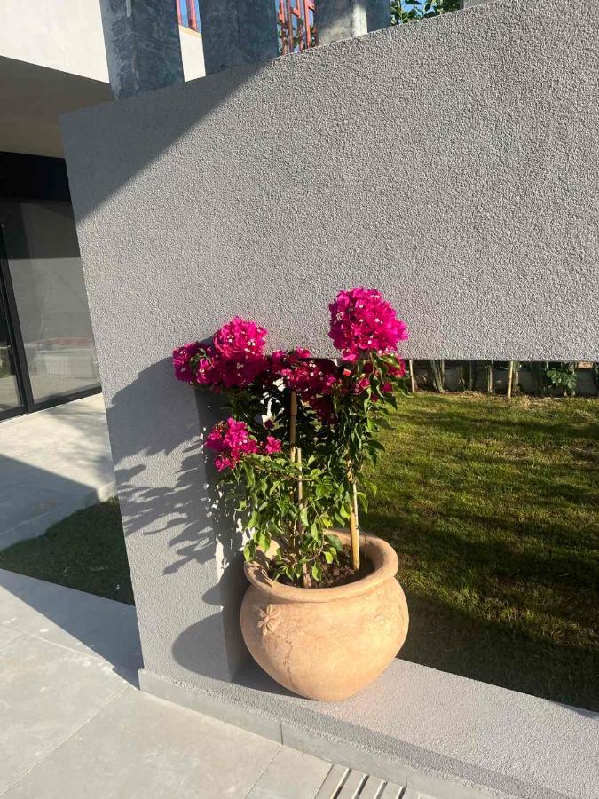 Villa Grand Kourouta Exterior foto